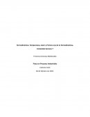 Termodinámica: Temperatura, Calor y Primera Ley de la Termodinámica