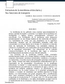 ESTRUCTURA DE LA MEMBRANA ERITROCITARIA