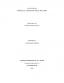 DESARROLLO DE LA INFRAESTRUCTURA VIAL DE COLOMBIA