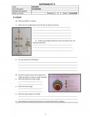 El cáncer. Cómo comienza el cáncer