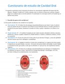 Cuestionario de estudio de Cavidad Oral
