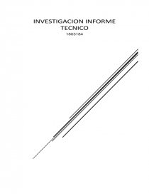 DEFINICION INFORME TECNICO. Página 1
