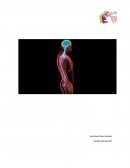 Cómo se relacionan los neurotransmisores y hormonas en la reproducción: