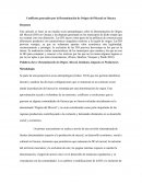 Conflictos generados por la Denominación de Origen del Mezcal en Oaxaca