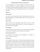 NERVIO NEUMOGASTRICO X PAR CRANEAL