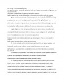 Que son las LAGUNAS JURÍDICAS