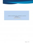 Análisis de globalización, ciudadanía y derechos humanos