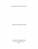 Aproximándonos al concepto de la comunidad