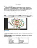 Tiempo Geologico ¿Qué es el tiempo geologico?