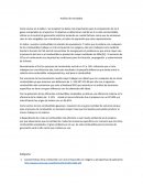 Analisis combustibles