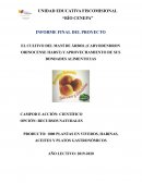 HARINA COMO INSUMO PARA ALIMENTOS DE DULCE Y SAL, Y ACEITE EXTRAÍDOS ARTESANALMENTE