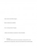 Balance General, Balanza de Comprobación y Estado de Resultados