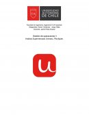 Gestión de operaciones II Análisis Supermercado Unimarc, Pitrufquén