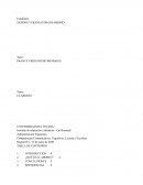 ¿Qué es el aborto?