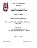 Refineria de dos bocas y el medio ambiente