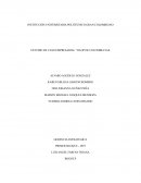 Industrias Yilop de Colombia SAS