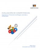 Evaluación de Competencias - Competencias Laborales