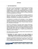 INFORME IMPORTACION LLANTAS