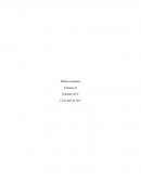 Política cambiaria Finanzas II