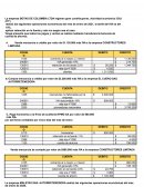 TALLER APLICACION DE IMPUESTOS empresa BOTAS DE COLOMBIA LTDA