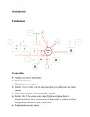 Caso de Marta Desde la dinámica