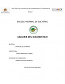 ANALISIS DEL DIAGNOSTICO. SINTAXIS DEL ESPAÑOL