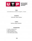 GOBERNANZA DE LOS RIESGOS NATURALES