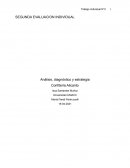 Análisis, diagnóstico y estrategia Confitería Alicanto