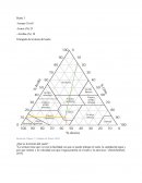 COMPONENTE PRACTICO INFORME. Triangulo de texturas del suelo