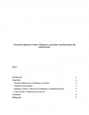 Potestad Tributaria o Poder Tributario y garantías constitucionales del contribuyente