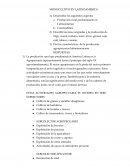 MONOCULTIVO EN LATINOAMERICA