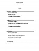 PARDOS CHICKEN EMPRESA