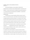 Estado social y estado constitucional