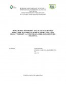 IMPLEMENTACIÓN PRODUCTIVA DE AJÍ DULCE COMO MODELO DE DESARROLLO AGRÍCOLA PARA PEQUEÑOS PRODUCTORES EN LA COMUNIDAD ASERRADERO I, ESTADO AMAZONAS