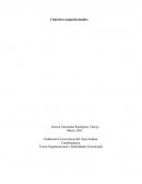 Teoría Organizacional y Habilidades Gerenciales