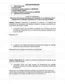 GUIA DE ENTREVISTAS A ESPECIALISTA: ABOGADA