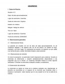 Anamnesis Trastorno bipolar mixto