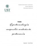 Epistemologia mapuche