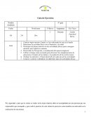 Rutina de ejercicios en casa: Calentamiento y circuito de estaciones