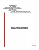 MANUAL DE ORGANIZACIÓN DEL DEPARTAMENTO DE ENFERMERIA DEL NEONATO EN ESTADO CRITICO