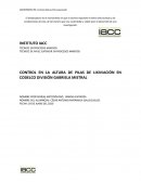 Control de Altura Pila de Lixiviación