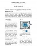 CRITERIOS A TENER EN CUENTA DENTRO DE UNA ORGANIZACIÓN PARA LA SEGURIDAD