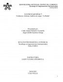 Actividad de aprendizaje 9 Evidencia 2: Informe Análisis de cargos “Colfrutik”