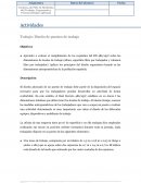 Trabajo: Diseño de puestos de trabajo