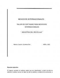 TALLER DE SOFTWARE PARA NEGOCIOS INTERNACIONALES “ INDUSTRIA DEL RECICLAJE ”. Página 1