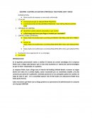 SOLEMNE 1 CONTROL DE GESTION ESTRATEGICO