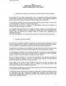 Auditoria reputacional a l’entorn online. IKEA