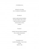 Introducción a la Psicología Fase 2. Actividades de Conceptualización