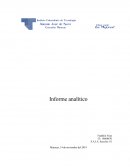 Informe Analítico