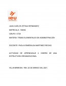 Actividad de aprendizaje Diseño de una estructura organizacional